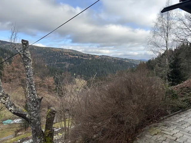 Ein Blick in die wunderbare Natur | Foto: MeinBezirk.at/Astrid Siebert