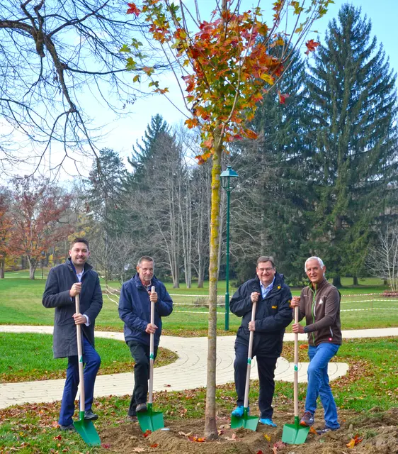 Daniel Freismuth, Helmut Pirc, Jörg Siegel und Gerald Mandl (v. l.) pflanzen den ersten Baum der Sternenallee.
 | Foto: Das Kurhaus Bad Gleichenberg