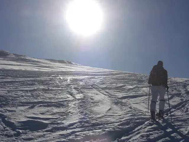 Foto: Naturfreunde Puchenau