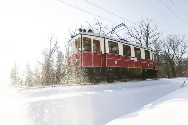Die Advent-Nostalgiefahrt zum Stiegl-Gut Wildshut findet am kommenden Sonntag, dem 23. November 2025, statt. | Foto: Salzburg Linien