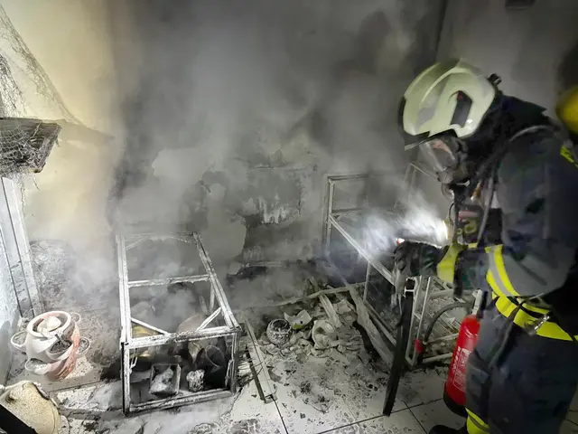 Die Feuerwehr musste anrücken. | Foto: Manfred Fesl