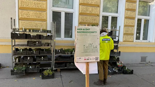 Bei den neuen Pflanzen wurde darauf geachtet, dass sie auch bei trockenen Böden und wenig Licht gedeihen können. | Foto: BV 20