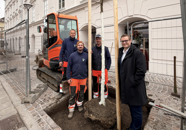 Stadtrat Julian Geier mit den Stadtgarten-Mitarbeitern Julian Uhl, Mustafa Hasic und Mario Sobe bei den frisch gepflanzten Erlen in der 10.-Oktober-Straße. | Foto: Büro Stadtrat Geier