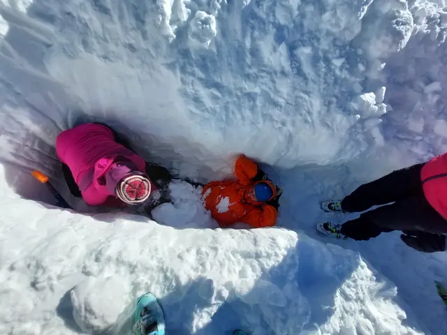 Foto: Naturfreunde Puchenau