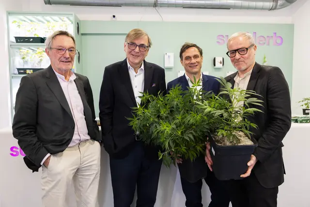 vlnr. Univ.-Prof. Dr. Heinz Mayer (Verfassungsjurist), Dr. Gerald Ganzger (Medien- und Wirtschaftsanwalt), Lukas Bock (GF &amp; Hanfshopbetreiber "supHerb"), Mag. Klaus Hübner (ÖCB-Obmann) | Foto: Stefan Joham