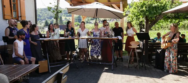 So lustig ist der Klangtreff, hier beim Klangfest beim Buschenschank Lackner im Sommer | Foto: vidiii