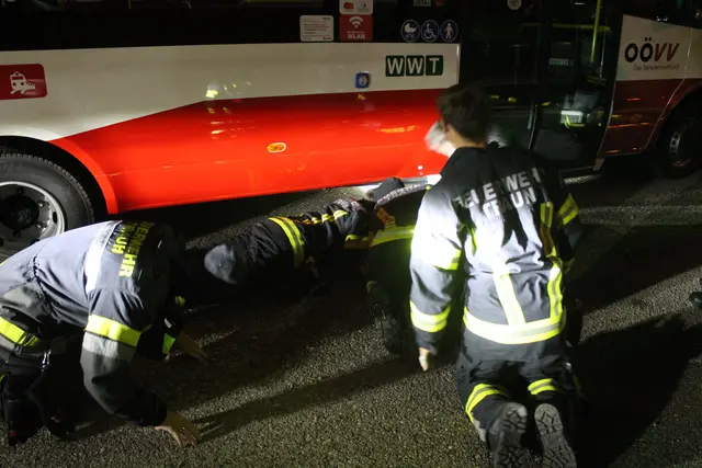 Foto: MeinBezirk Linz-Land