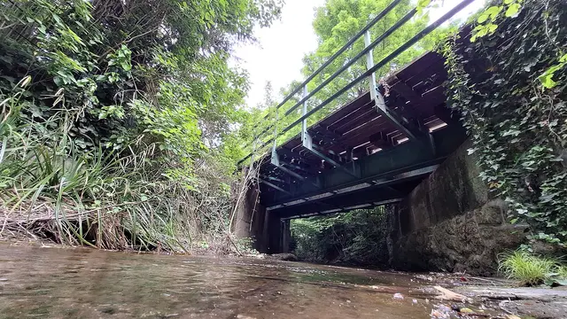 Die Brücke über die Dürre Liesing. | Foto: Verein Kaltenleutgebner Bahn