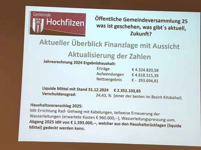 Überblick über die Finanzlage der Gemeinde. | Foto: Nikolaus Kogler