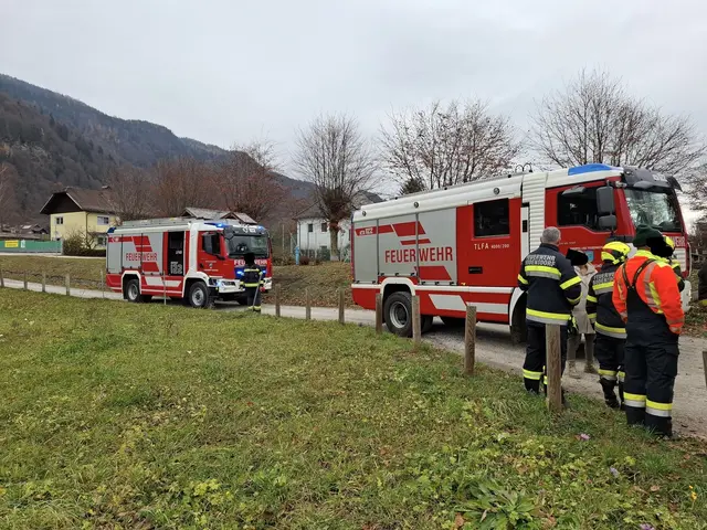 Im Einsatz standen die Freiwilligen Feuerwehren Steindorf und Bodensdorf mit 16 Personen. | Foto: Freiwillige Feuerwehr Bodensdorf - Tschöran