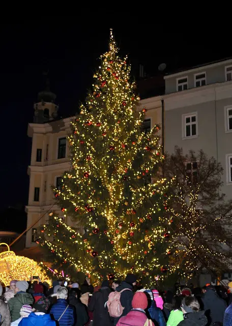 Foto: Stadt WRN/Weller, Sascha Trimmel