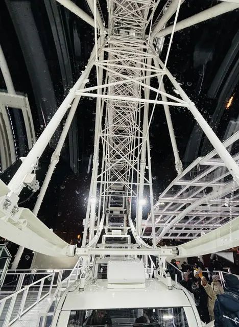 Foto: Nikolaus Kogler