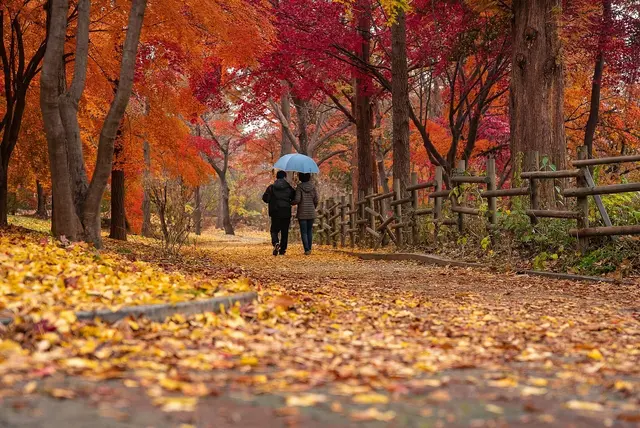 Auch im Herbst lassen sich Feiertag und Urlaubstage kombinieren.  | Foto: chulmin1700/Pixabay
