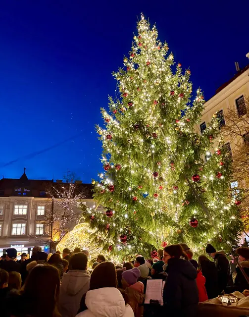 Foto: Stadt WRN/Weller, Sascha Trimmel