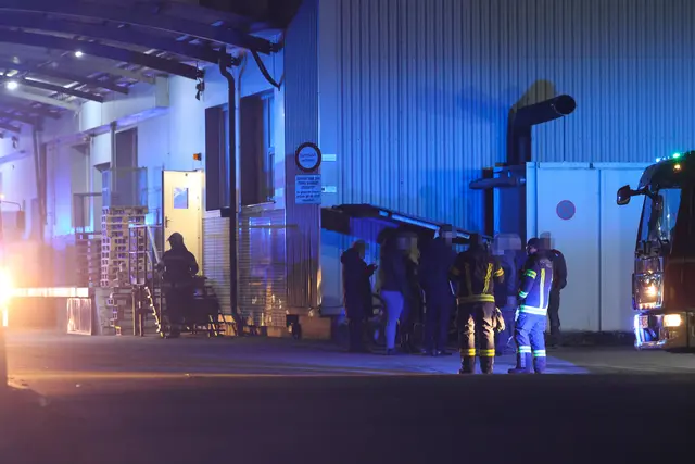 In einem Unternehmen im Welser Stadtteil Lichtenegg hatte ein Brandmelder Alarm geschlagen – in einer Anlage konnte ein Feuer lokalisiert werden. | Foto: laumat.at