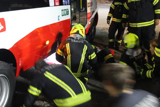 Foto: MeinBezirk Linz-Land