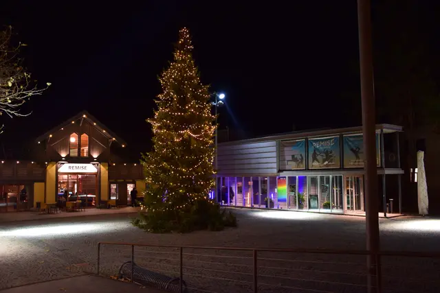 Am 26. November laden die Stadt Bludenz und die Kleinkindbetreuungen zur feierlichen Christbaum-Illumination und dem Lichterfest ein.  | Foto: Stadt Bludenz