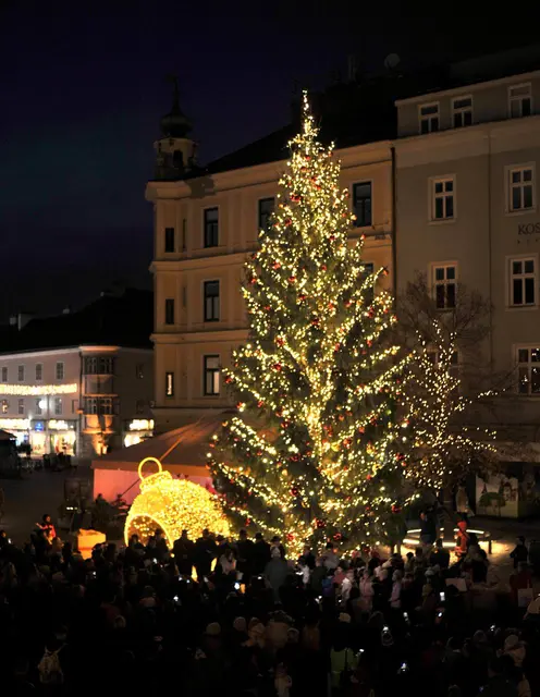 Foto: Stadt WRN/Weller, Sascha Trimmel