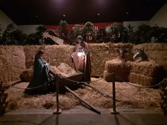 Heuer wird die Krippe zum 26. Mal den Walder Pavillon in der Weihnachtszeit schmücken. | Foto: Karin Prassl