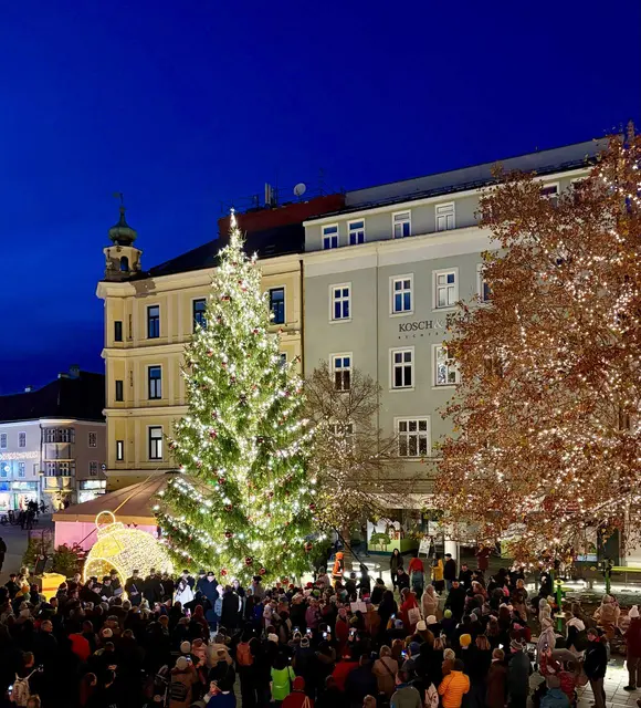 Wunderschöner Ausblick vom Rathausbalkon auf den gerade eben erleuchteten Christbaum. | Foto: Stadt WRN/Weller, Sascha Trimmel