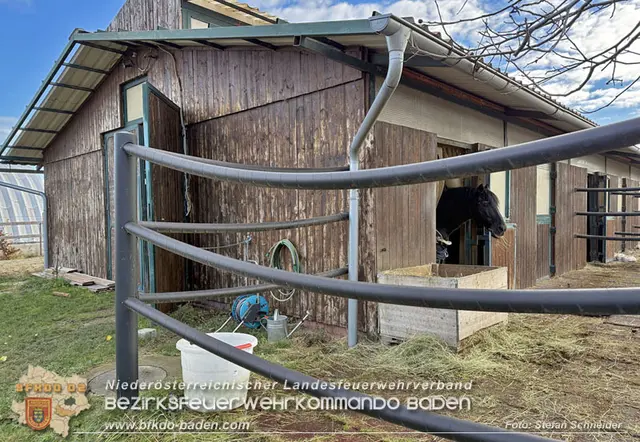 Notwasserversorgung für Pferde eines Reitstalls in Oberwaltersdorf. | Foto: BFKDO Baden / Stefan Schneider