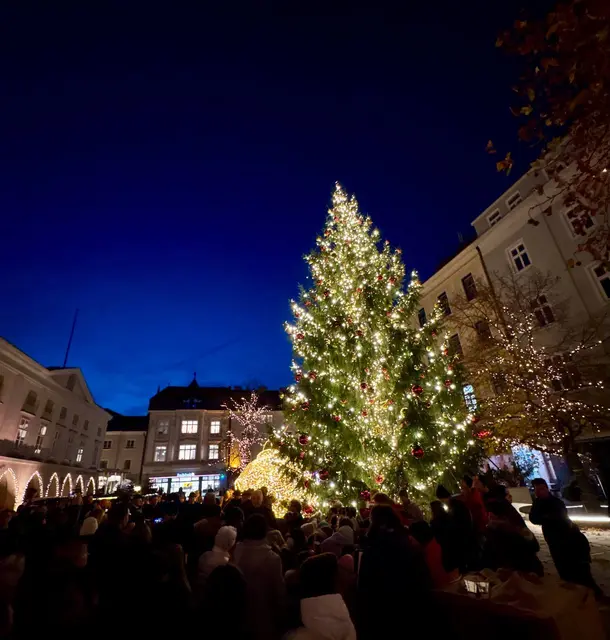 Foto: Stadt WRN/Weller, Sascha Trimmel