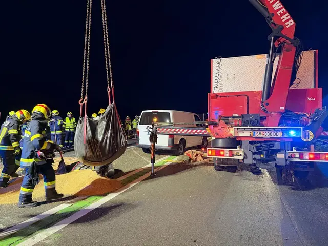 Das Ladegut - drei Bigpacks mit Getreide - sowie ein Pflug landeten auf der Schnellstraße. | Foto: Fire Veiter - FF St.Veit/Glan