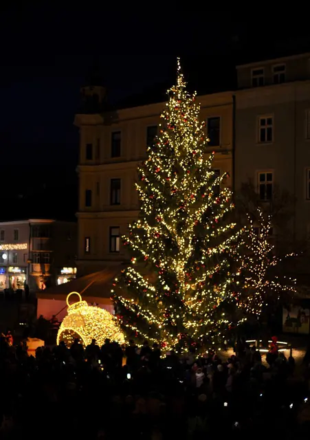 Foto: Stadt WRN/Weller, Sascha Trimmel