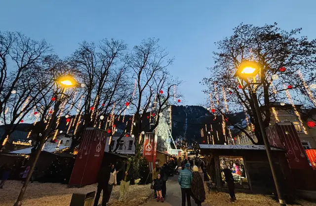 Foto: Nikolaus Kogler