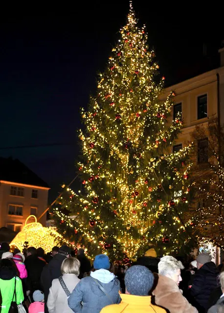 Foto: Stadt WRN/Weller, Sascha Trimmel