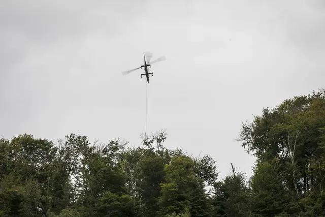 Baumbergungen mittels Hubschrauber | Foto: Stadt Salzburg/Wildbild
