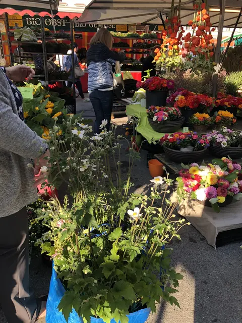 Eine große Auswahl an Blumen und Stauden findet sich auf der Schranne. | Foto: sm