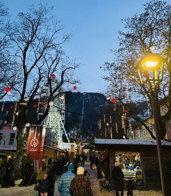 Foto: Nikolaus Kogler