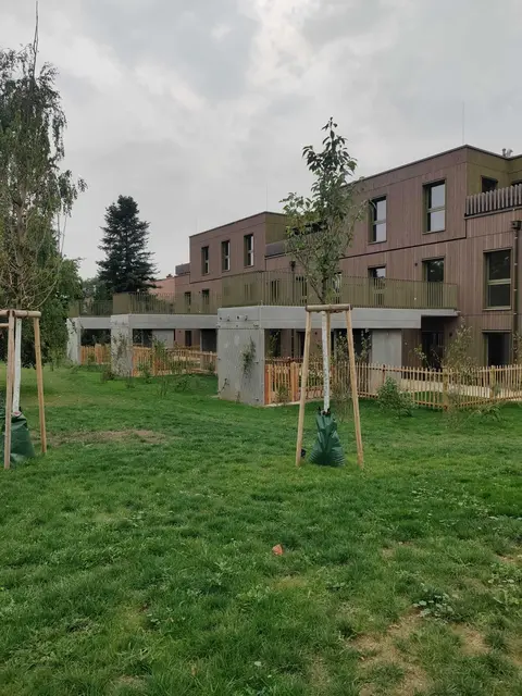 Foto: Grüne Favoriten