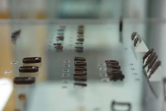 Foto: Bernhard Kerezsi