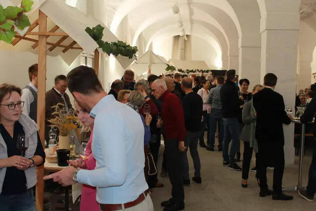 Foto: MeinBezirk Linz-Land