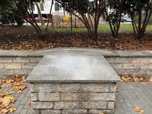 Die Statue von Hermann Gmeiner wurde entfernt. | Foto: Pandrea/MeinBezirk