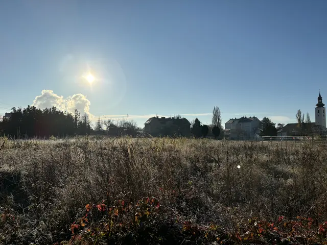 Rund 150 Meter trennen das Haus des Anrainers vom Schrottplatz.  | Foto: Luca Arztmann/MeinBezirk