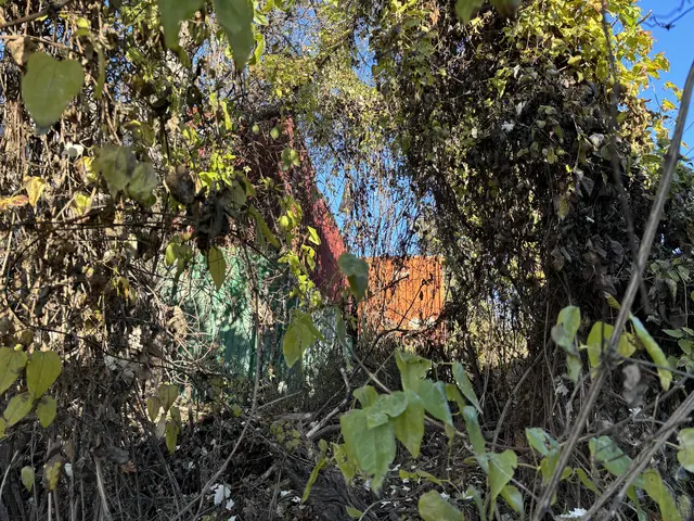 Foto: Luca Arztmann/MeinBezirk