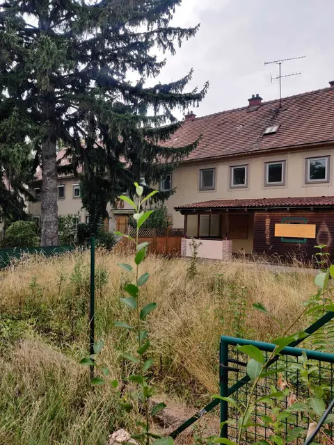 Foto: Grüne Favoriten