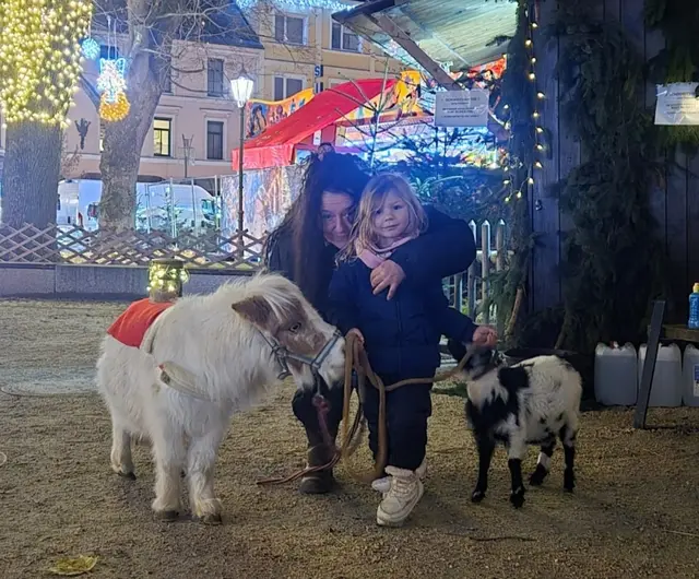 Streichel Zoo - Anton das Pony und Helga die Ziege!
