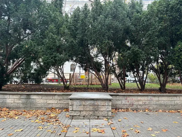 Das Hermann Gmeiner Denkmal im ehemaligen Börsenpark ist Geschichte. | Foto: Pandrea/MeinBezirk