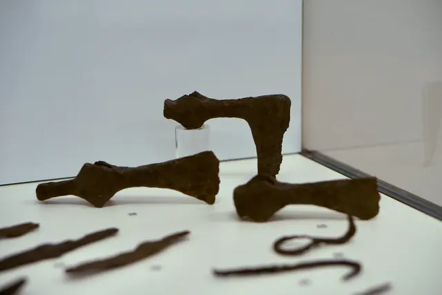 Foto: Bernhard Kerezsi