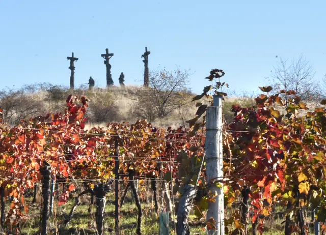 Weinsegnungen gehören zur Tradition. | Foto: Herbert Schleich
