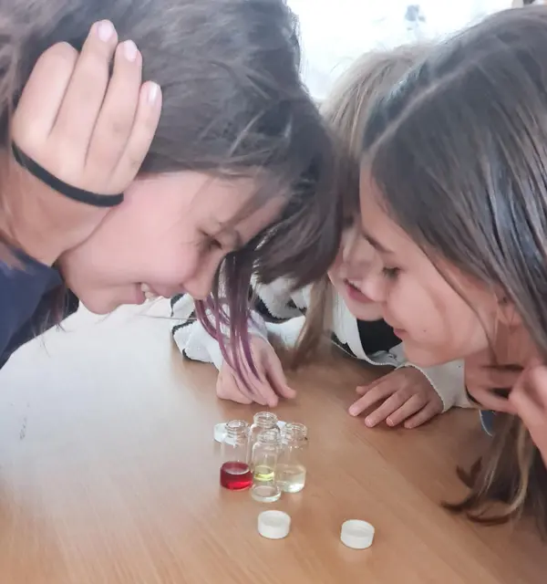 Foto: NÖMS St. Andrä-Wördern