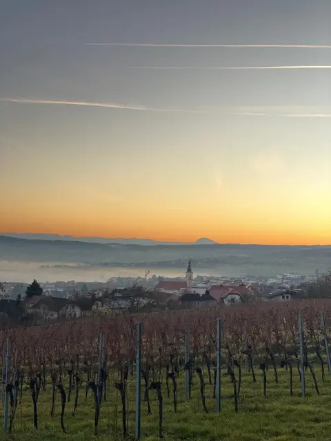 Foto: Erber-Hromatka