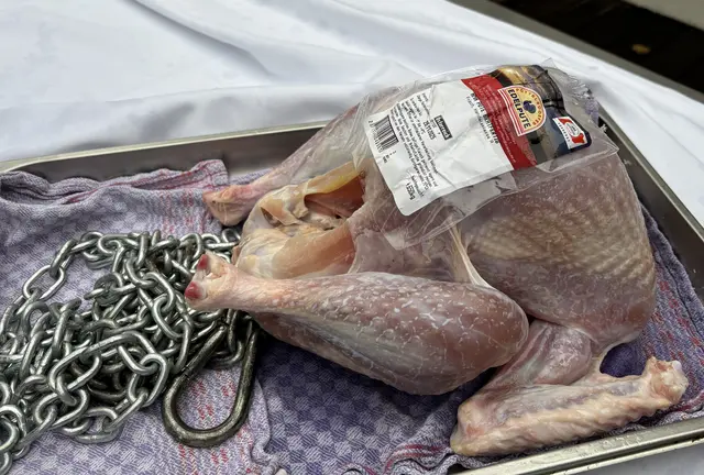 Foto: Barbara Babonitsch-Diewald