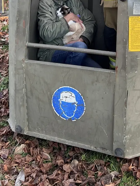 Katze Luxi in den Armen ihrer Besitzerin.  | Foto: FF Mürzhofen
