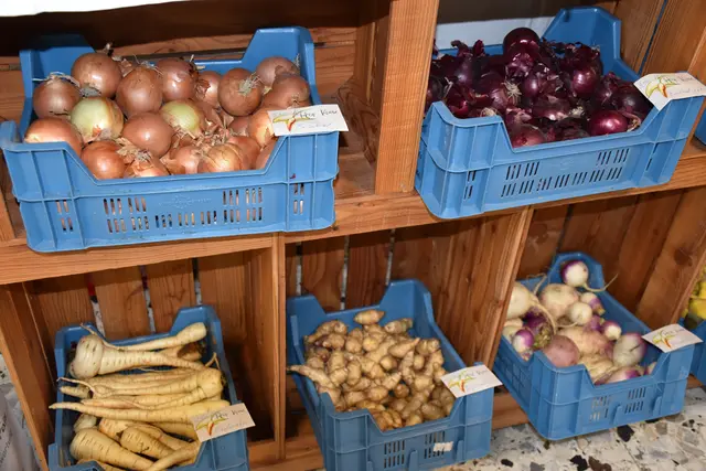 Foto: MeinBezirk/Carmen Rienzner