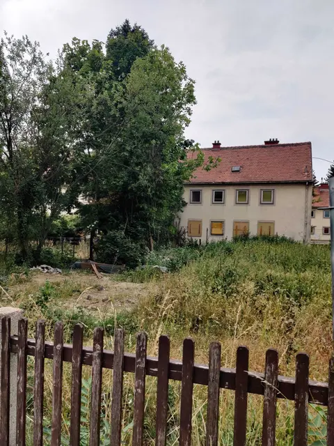 Wo einst jahrzehntealte Bäume standen, findet man nun am Wienerfeld West "nur" noch frisch eingesetzte junge Gewächse. Die Grünen Favoriten haben sich per Anfrage erkundigt, was mit den alten Bäumen passiert ist. | Foto: Grüne Favoriten